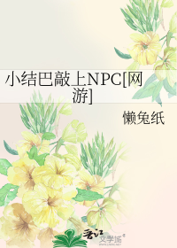 小结巴敲上NPC[网游]