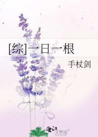 [综]一日一根